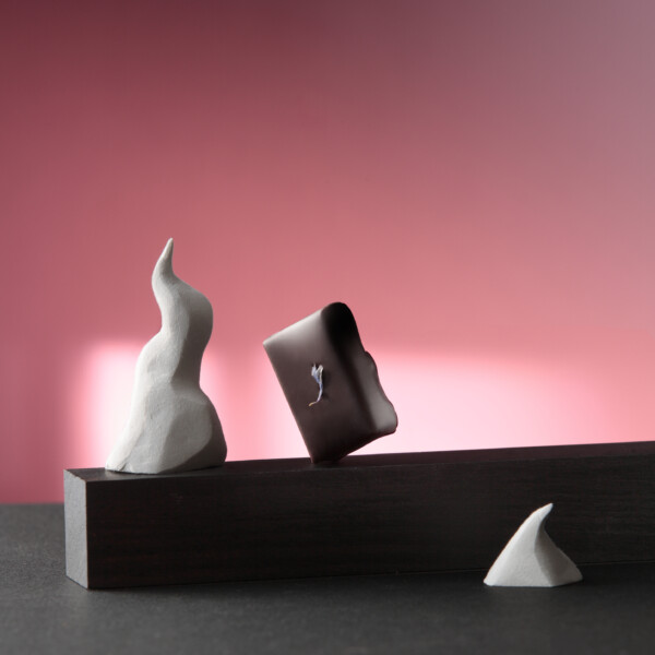 catalog：salon du chocolat